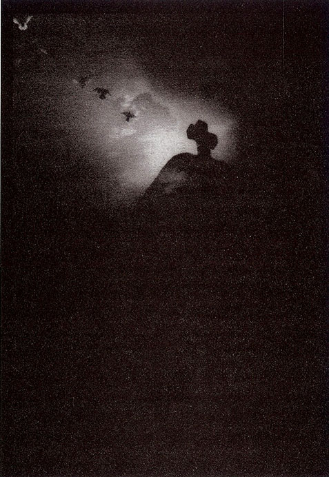 El Vuelo, Josephine Sacabo, Photograph