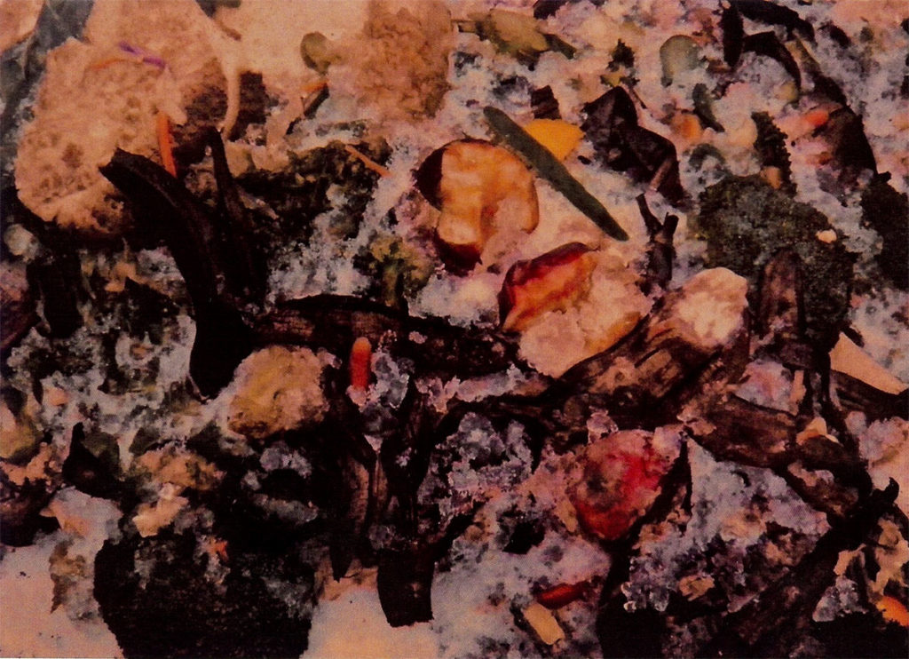 Compost-Modernism, photograph by Ross Bachelder