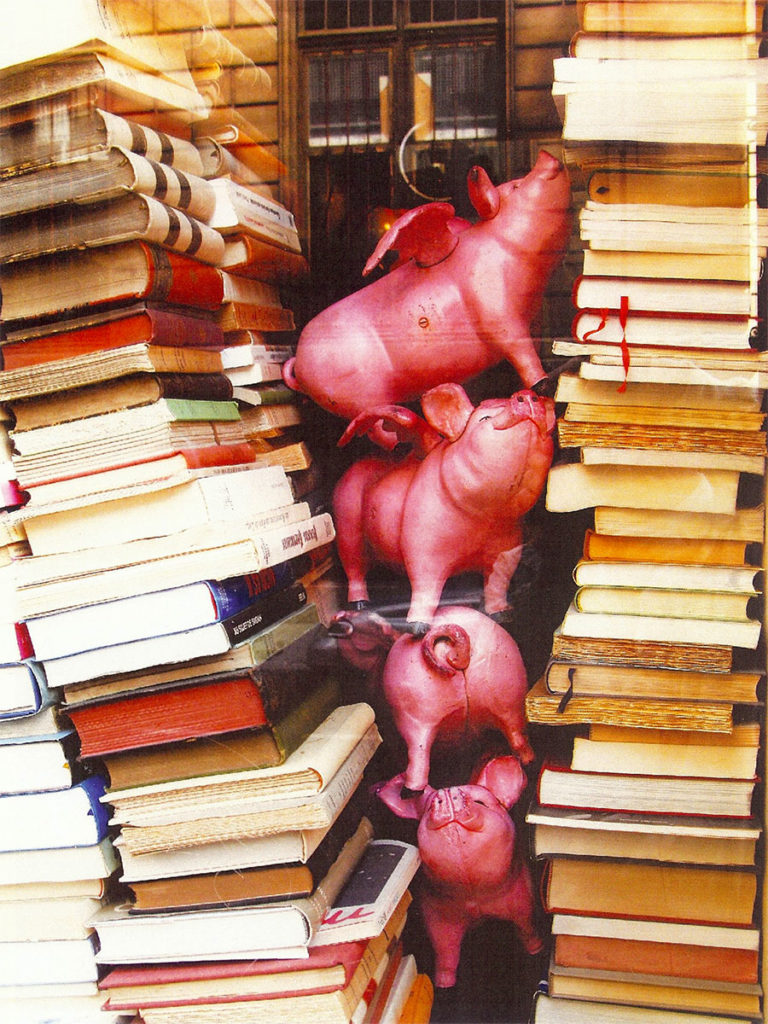 Flying Pigs Antiquarian Bookshop Paris, photograph by Roger Camp