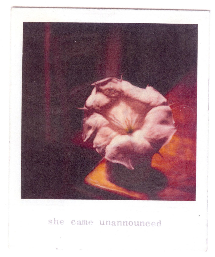 polaroid photo (Cambridge, MA) by Eero Ruuttila