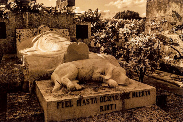 photograph from the Cementerio de Colon series by Figueredo Véliz