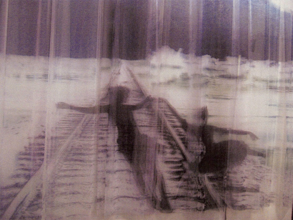 The Veil Suite, 2007, ink on pleated illusion (tulle curtains), detail from a room of wall size paintings, 14x22x28 by Izhar Patkin