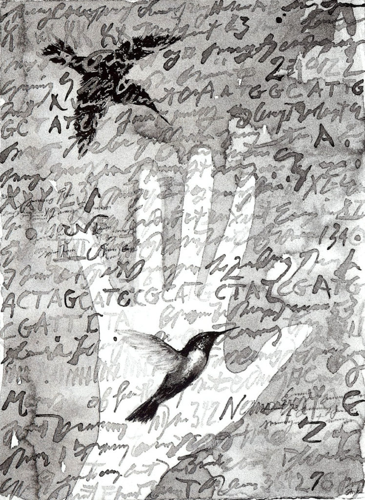 Bird in the Hand by Suzanne Stryk