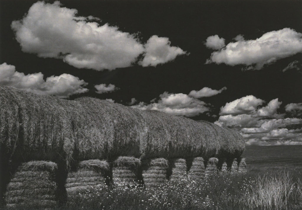 Haystack, Montana 2008