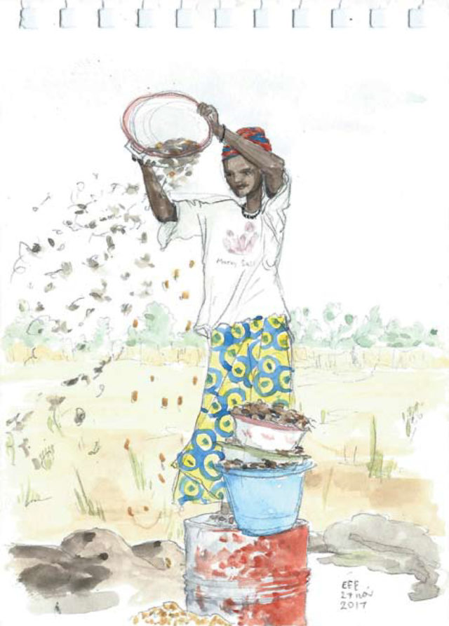live reportage illustration from Third Residency, Senegal