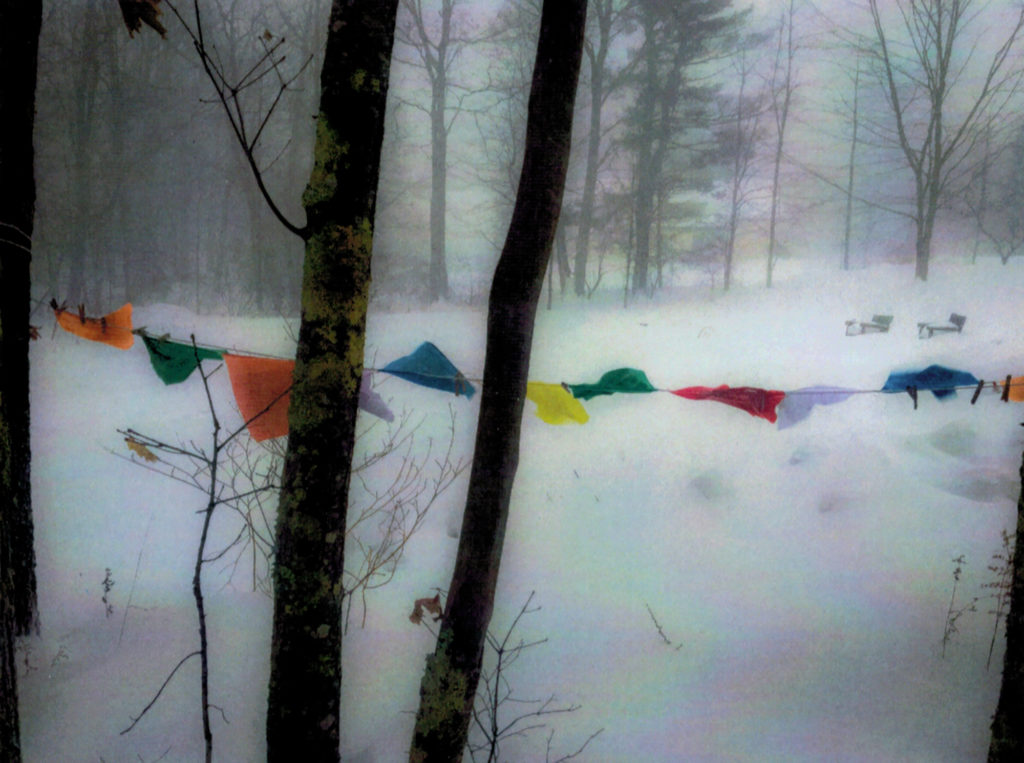 Nor'easter/backyard (2018) by Eero Ruuttila, photograph