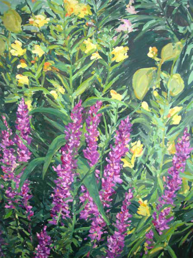 Jewel Weed in Loosestrife