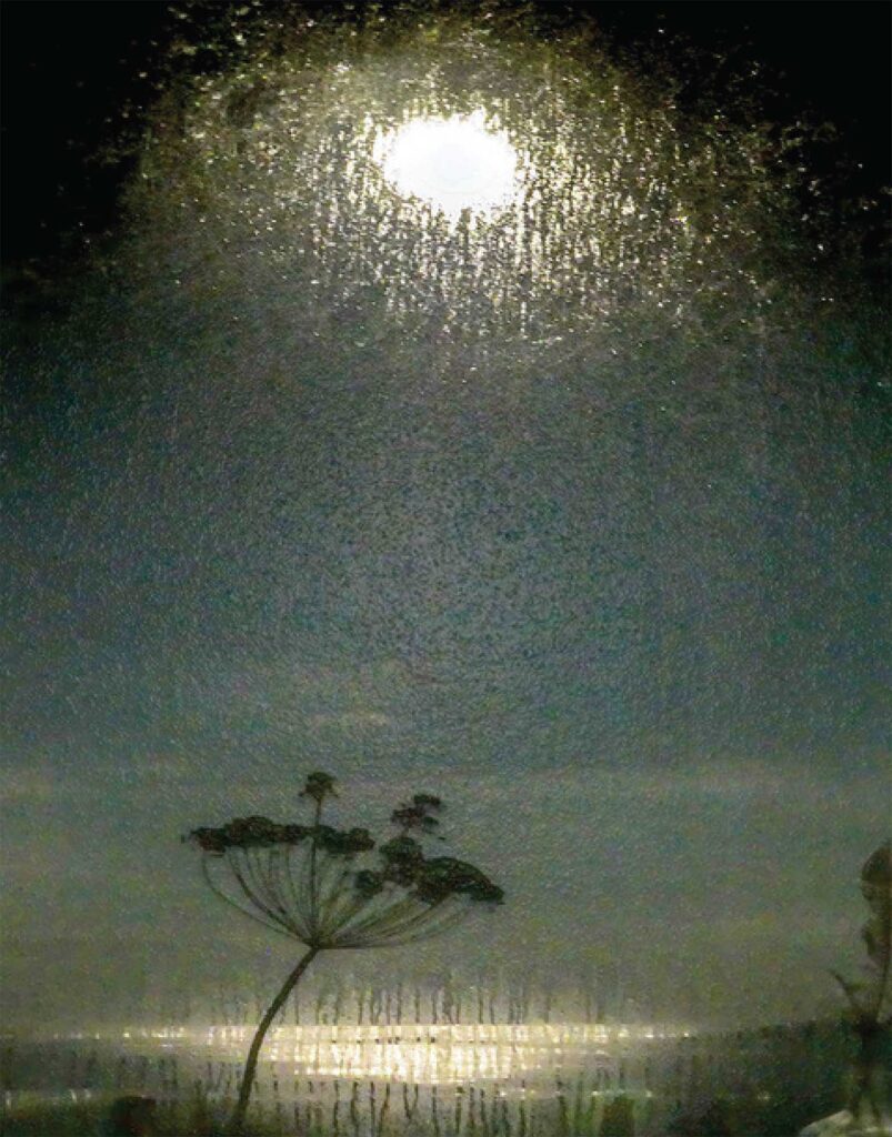 Moon Lagoon by David Wade