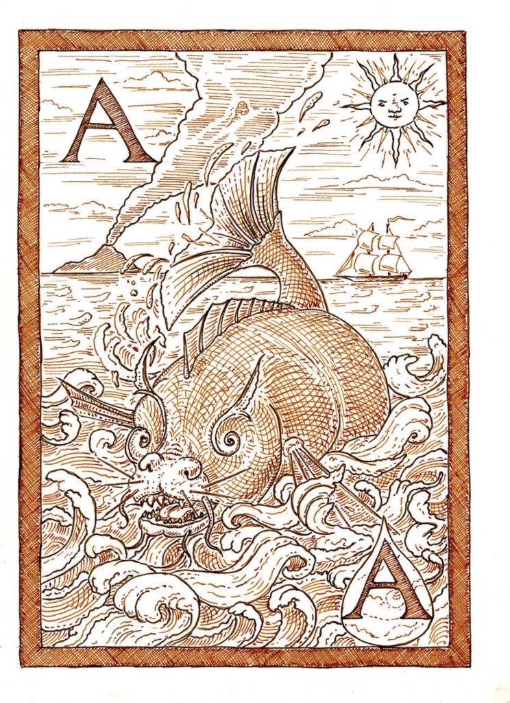 Ace of Fish by Stephen Burt