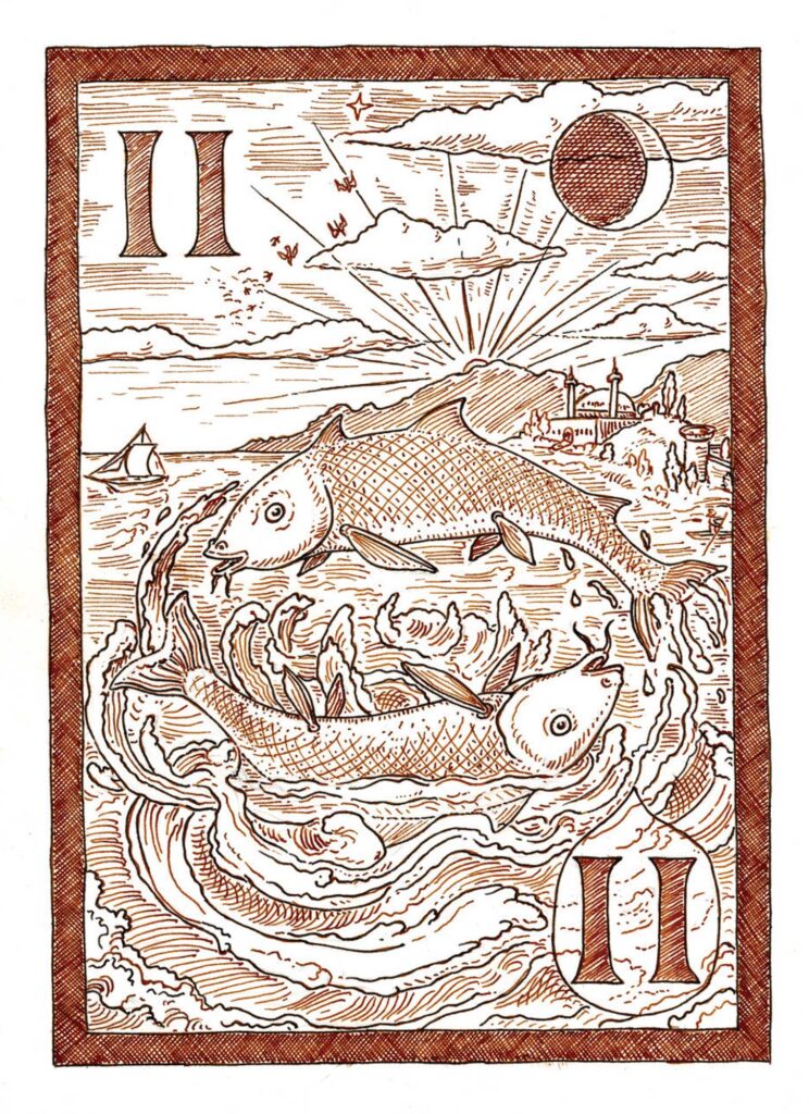 Ace of Fish by Stephen Burt