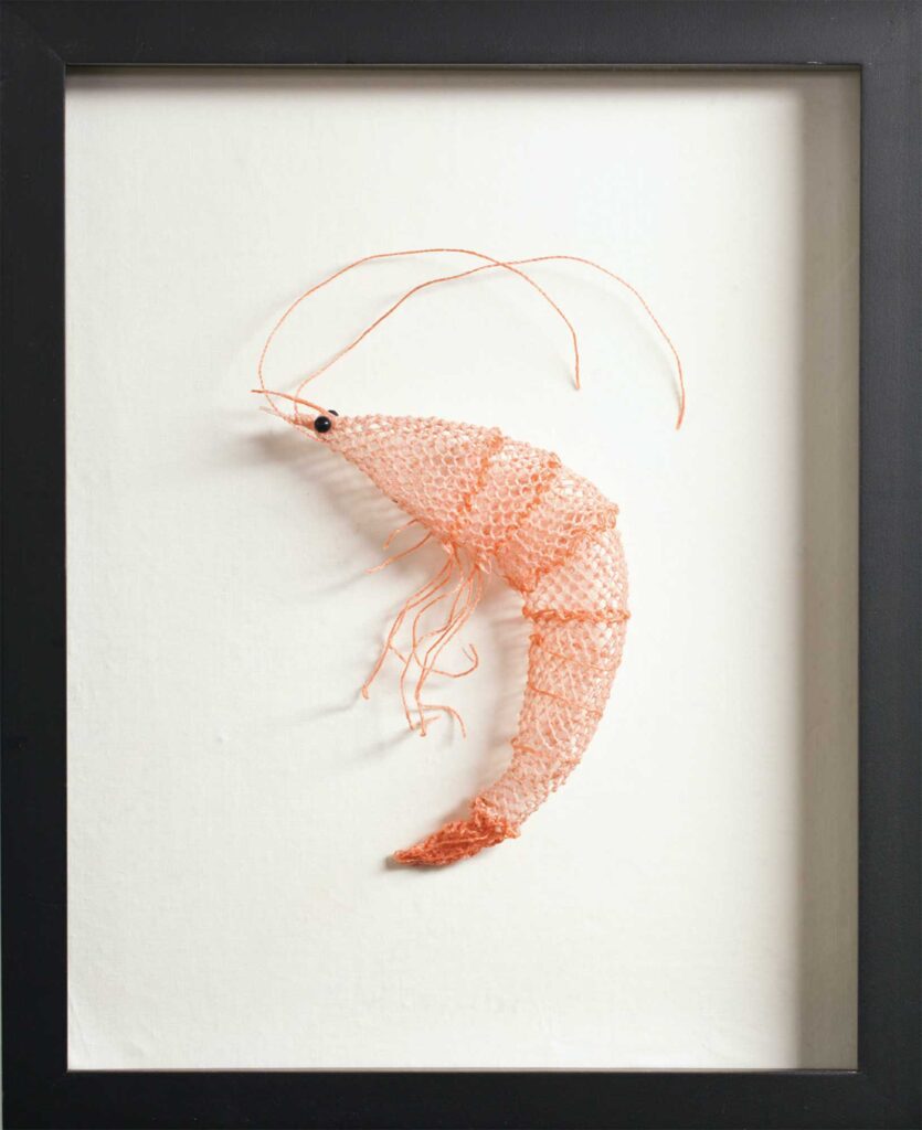 Essence of Shrimp by Stephanie Crossman