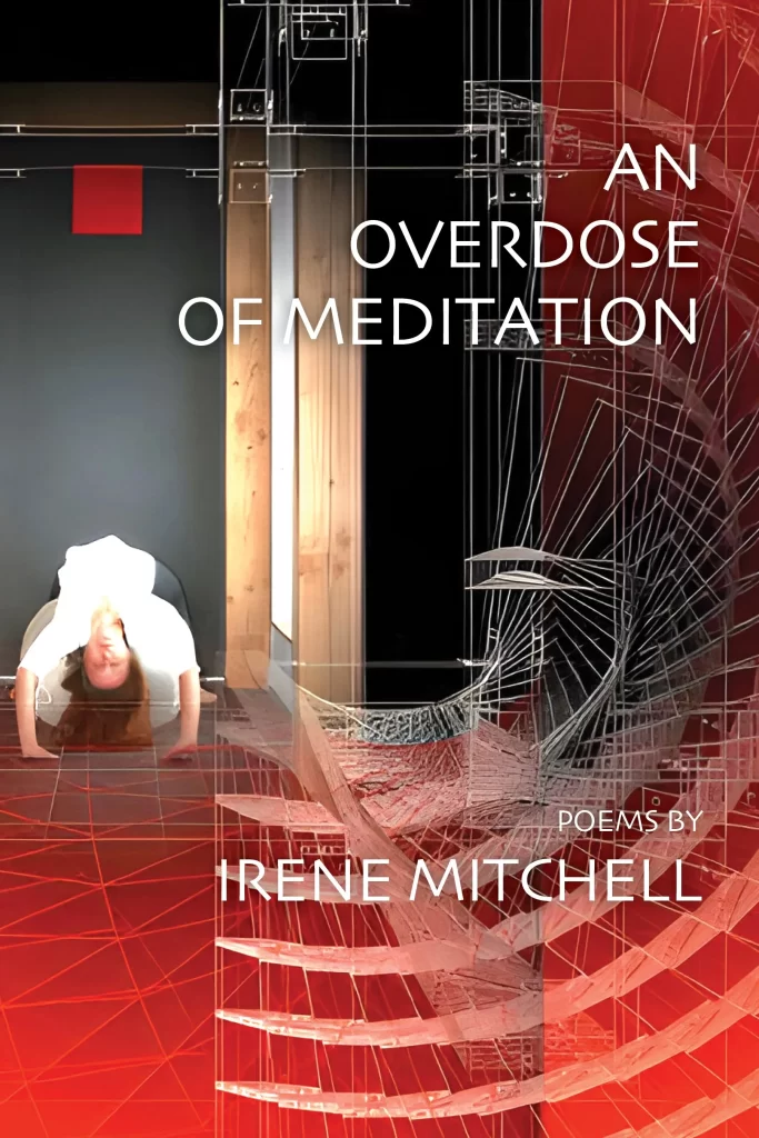 overdose of meditation cover