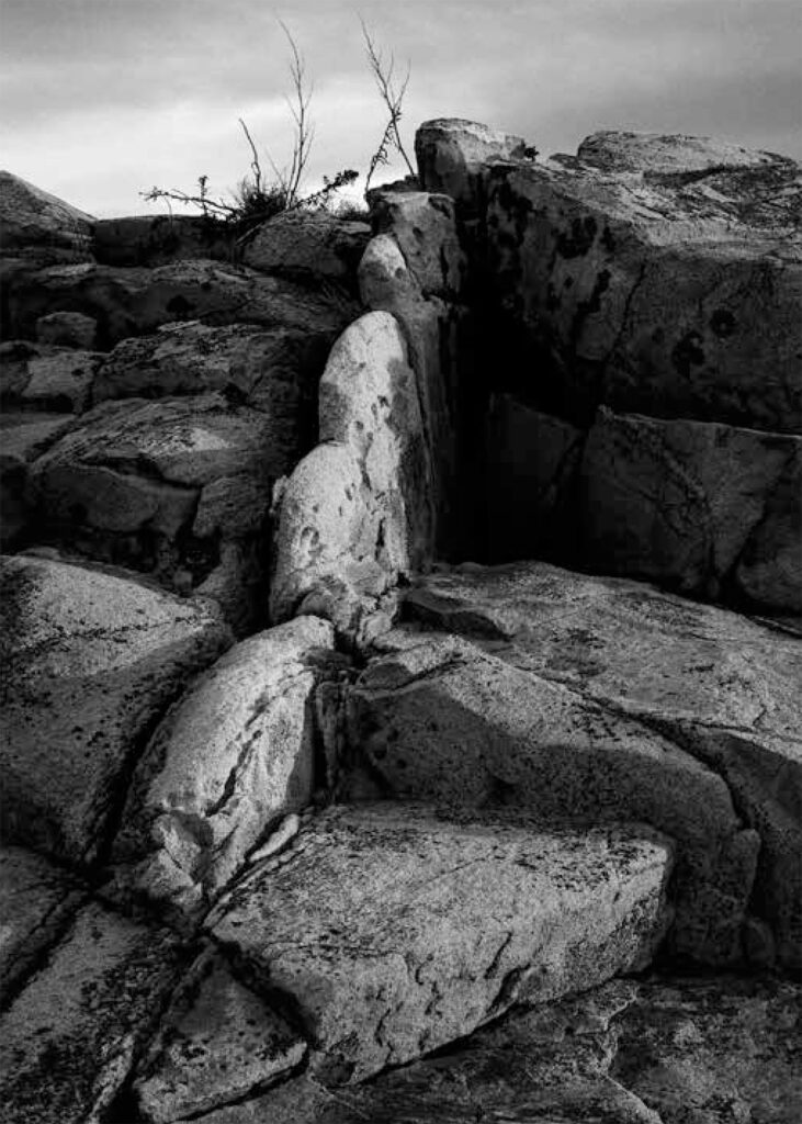 Skyward 4 by Alexandra de Steiguer