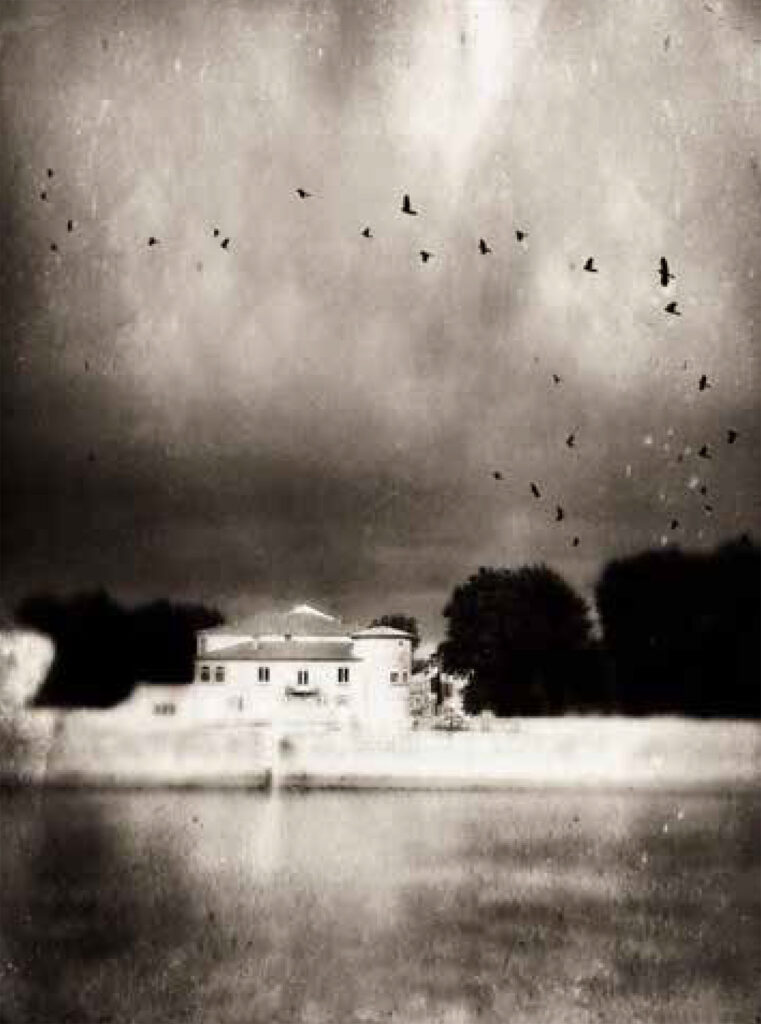 Capitainerie by Ralph Hassenpflug