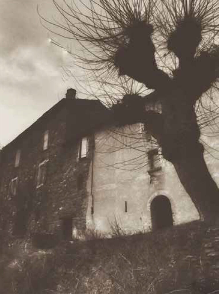 Maison Reve by Ralph Hassenpflug