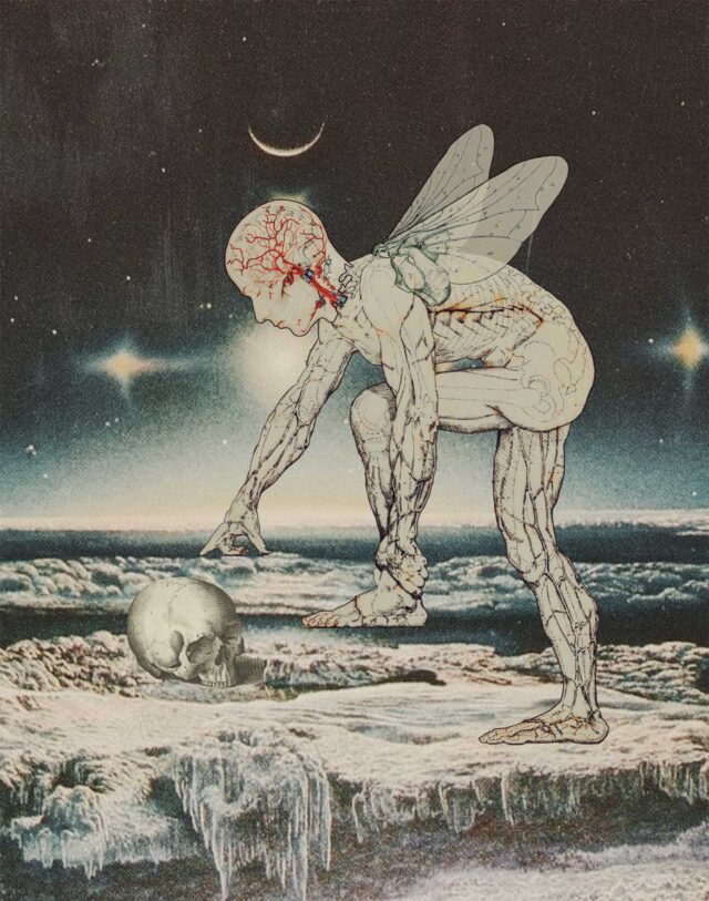 Us And Them by Julia Lillard