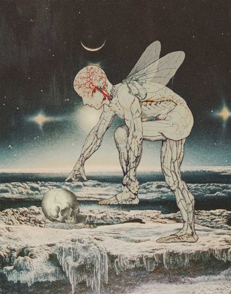 Us And Them by Julia Lillard